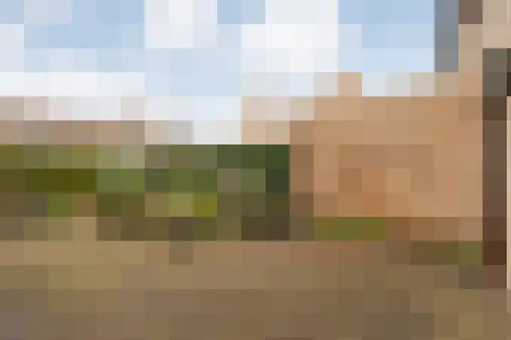 Irisstraat 11 Wierden thumbnail 27