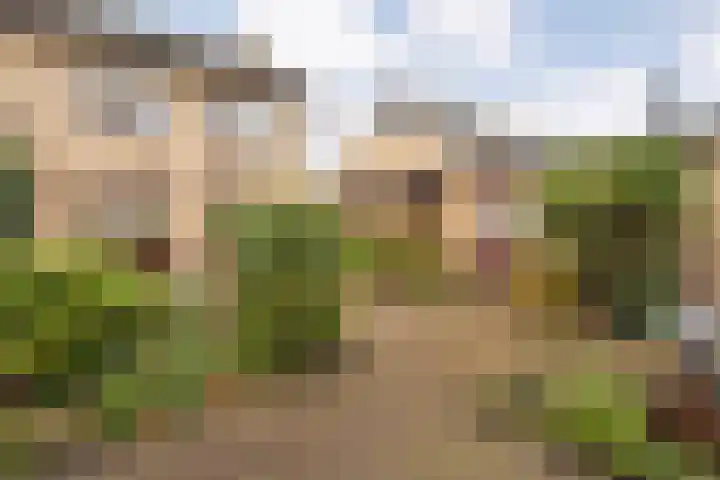 Irisstraat 11 Wierden thumbnail 28