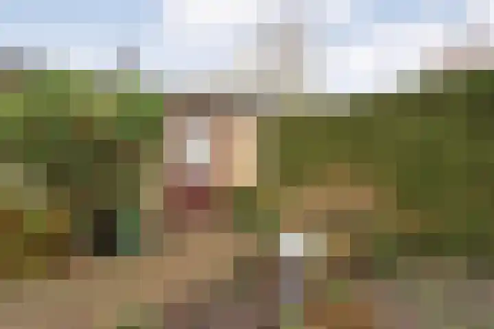 Irisstraat 11 Wierden thumbnail 29