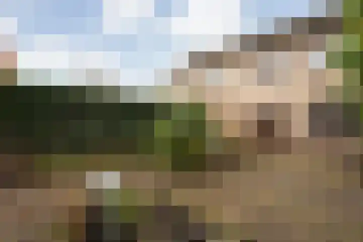 Irisstraat 11 Wierden thumbnail 30