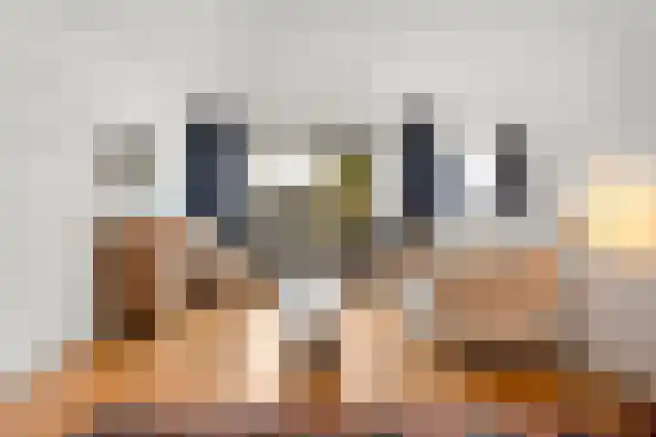 Irisstraat 11 Wierden thumbnail 5