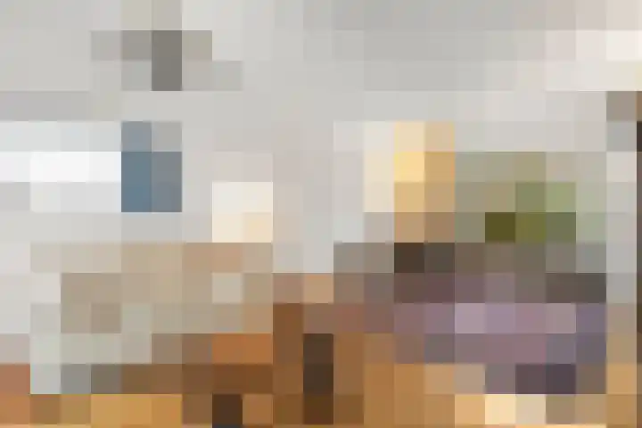 Irisstraat 11 Wierden thumbnail 6