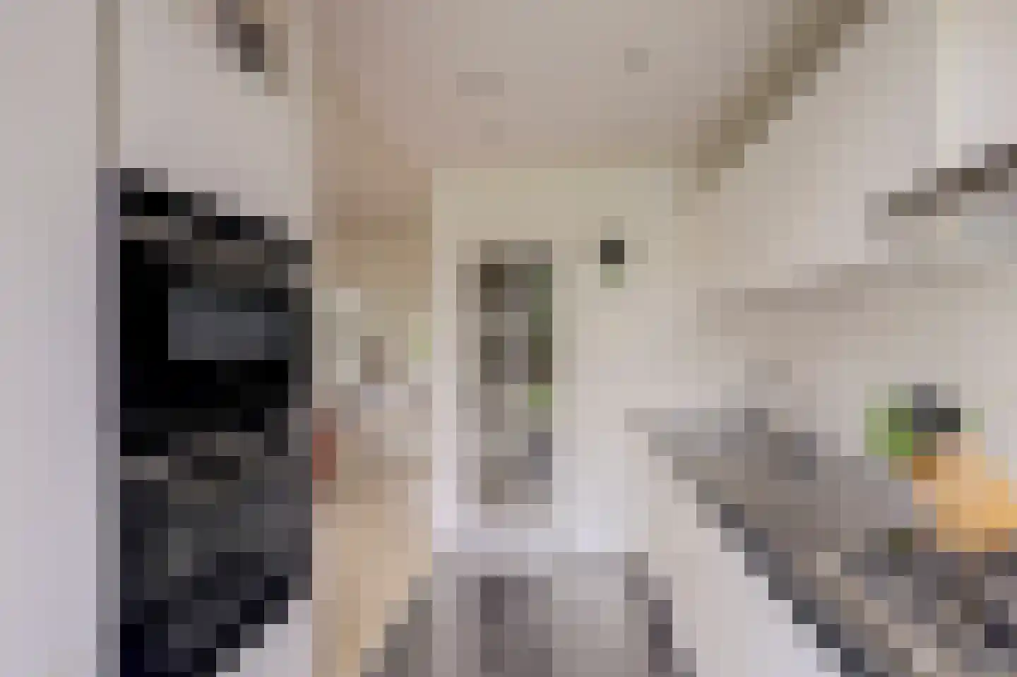 Irisstraat 12 Bussum thumbnail 19