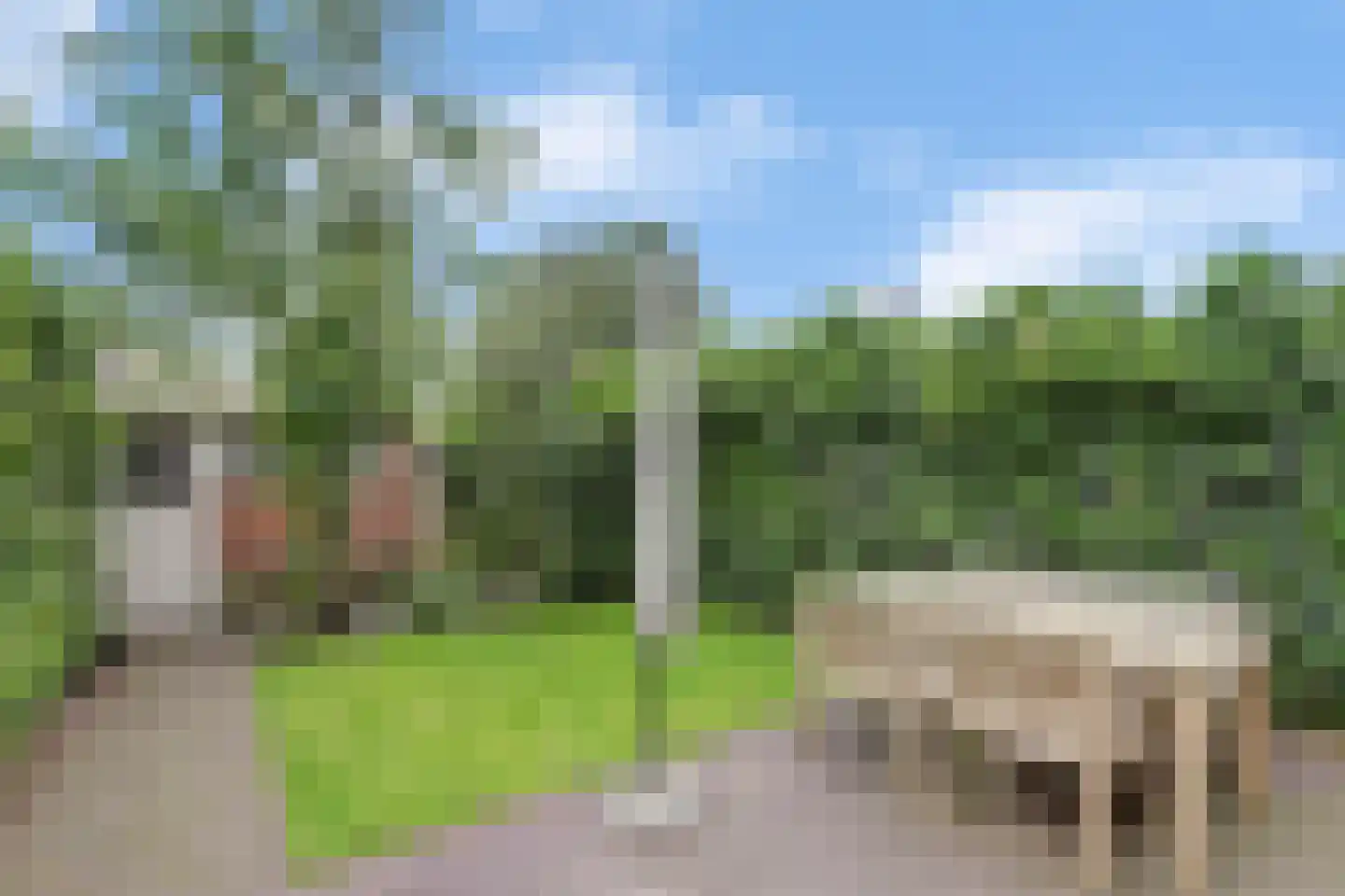 Irisstraat 12 Bussum thumbnail 38