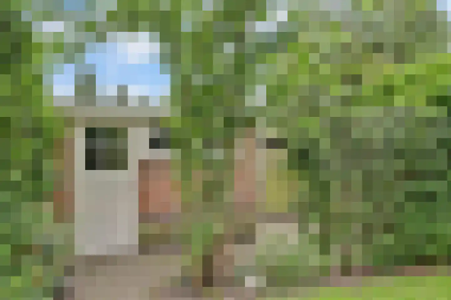 Irisstraat 12 Bussum thumbnail 39