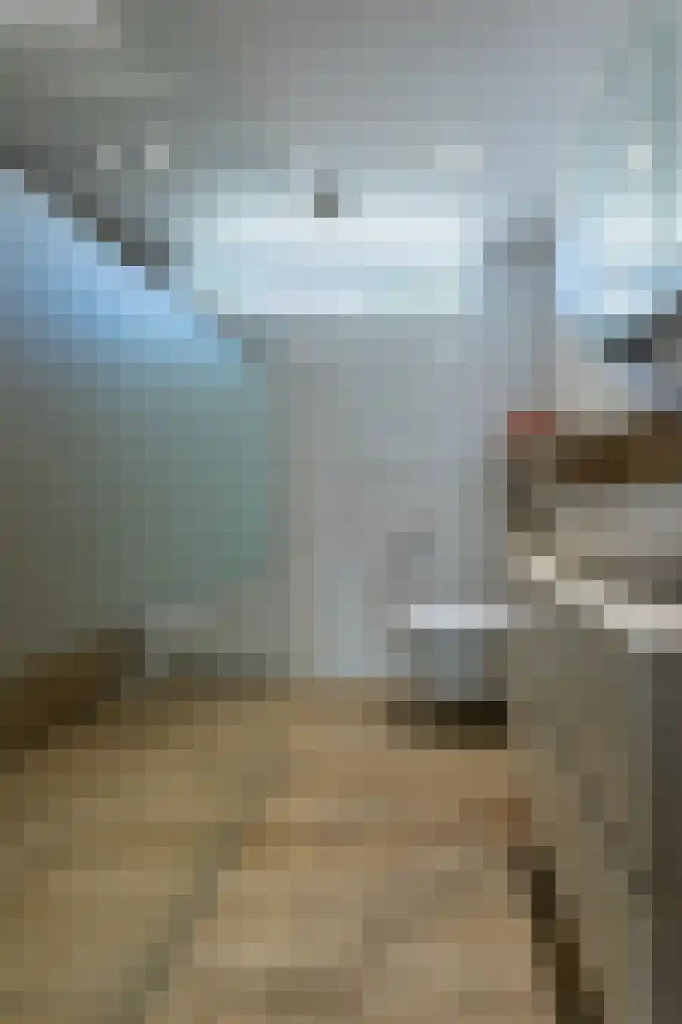 Irisstraat 12 Putte thumbnail 22