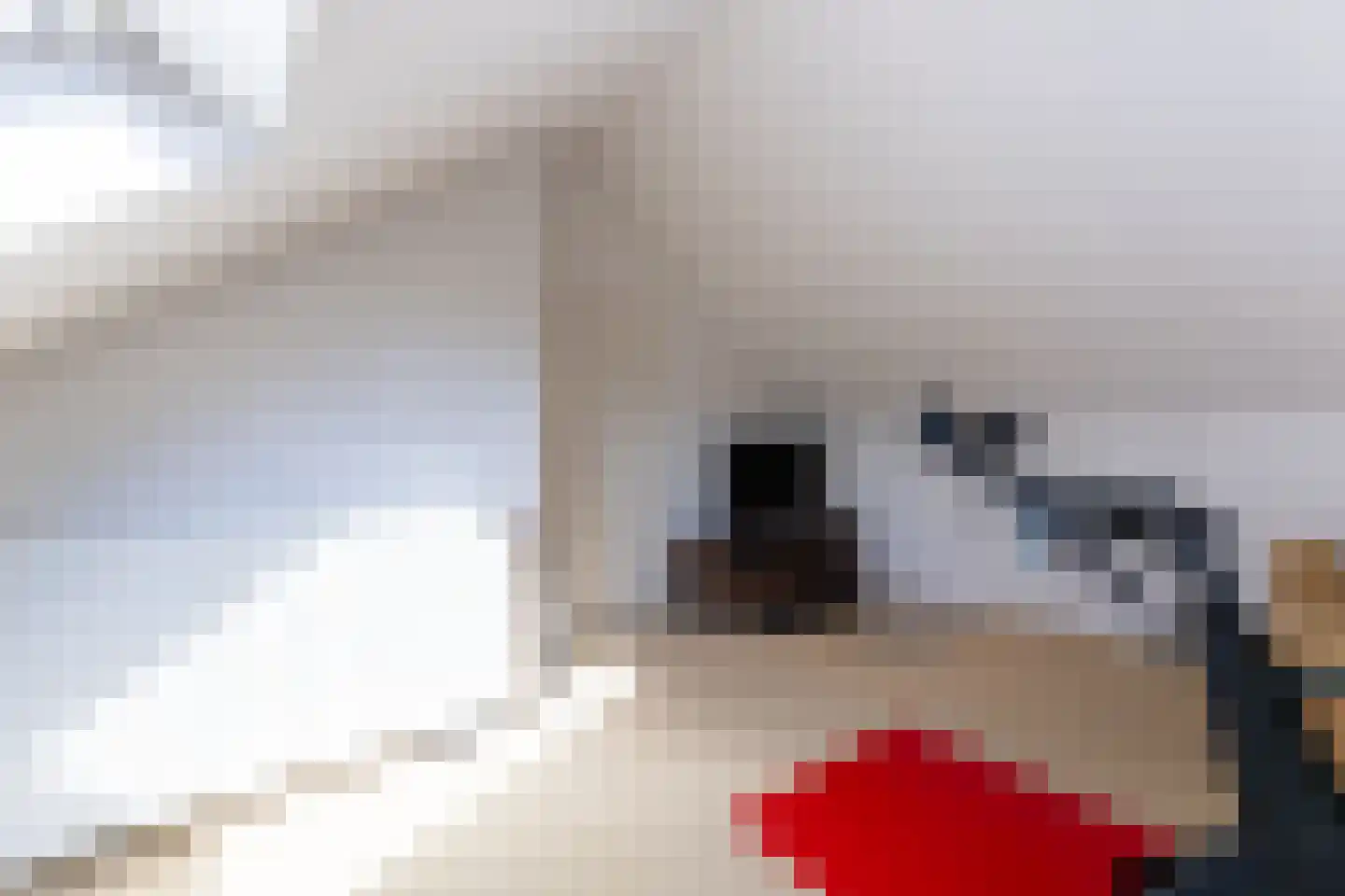 Irisstraat 12 Putte thumbnail 36