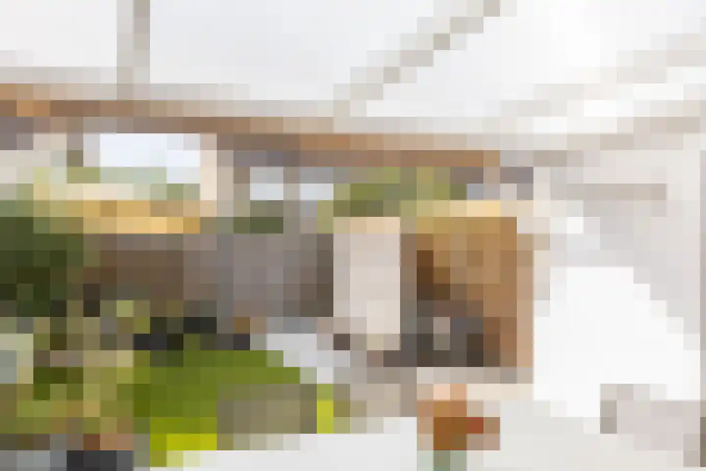 Irisstraat 12 Putte thumbnail 39