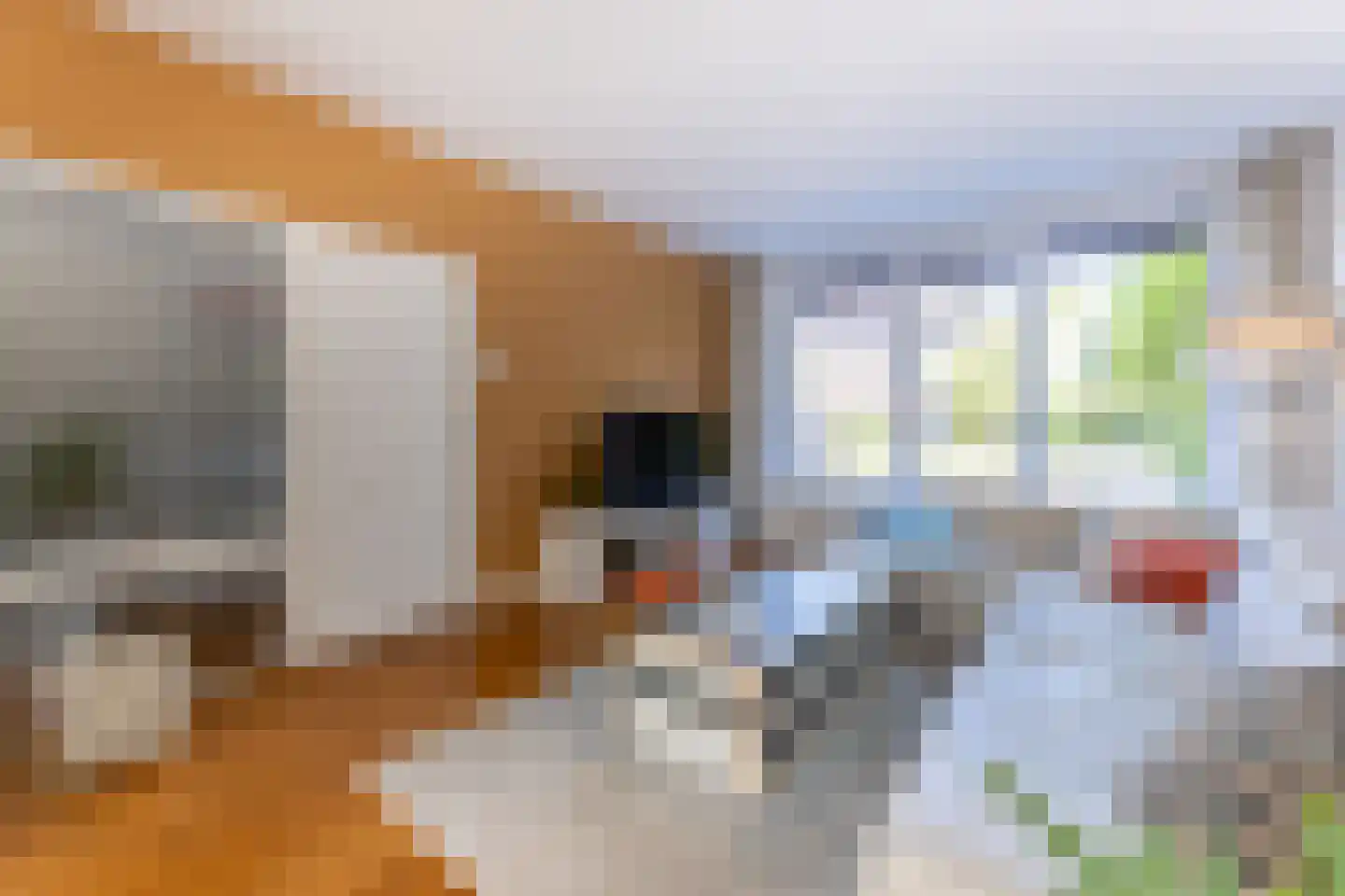 Irisstraat 12 Putte thumbnail 8