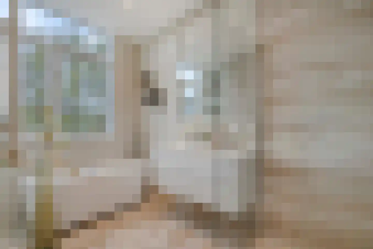 Irisstraat 121 Den Haag thumbnail 31