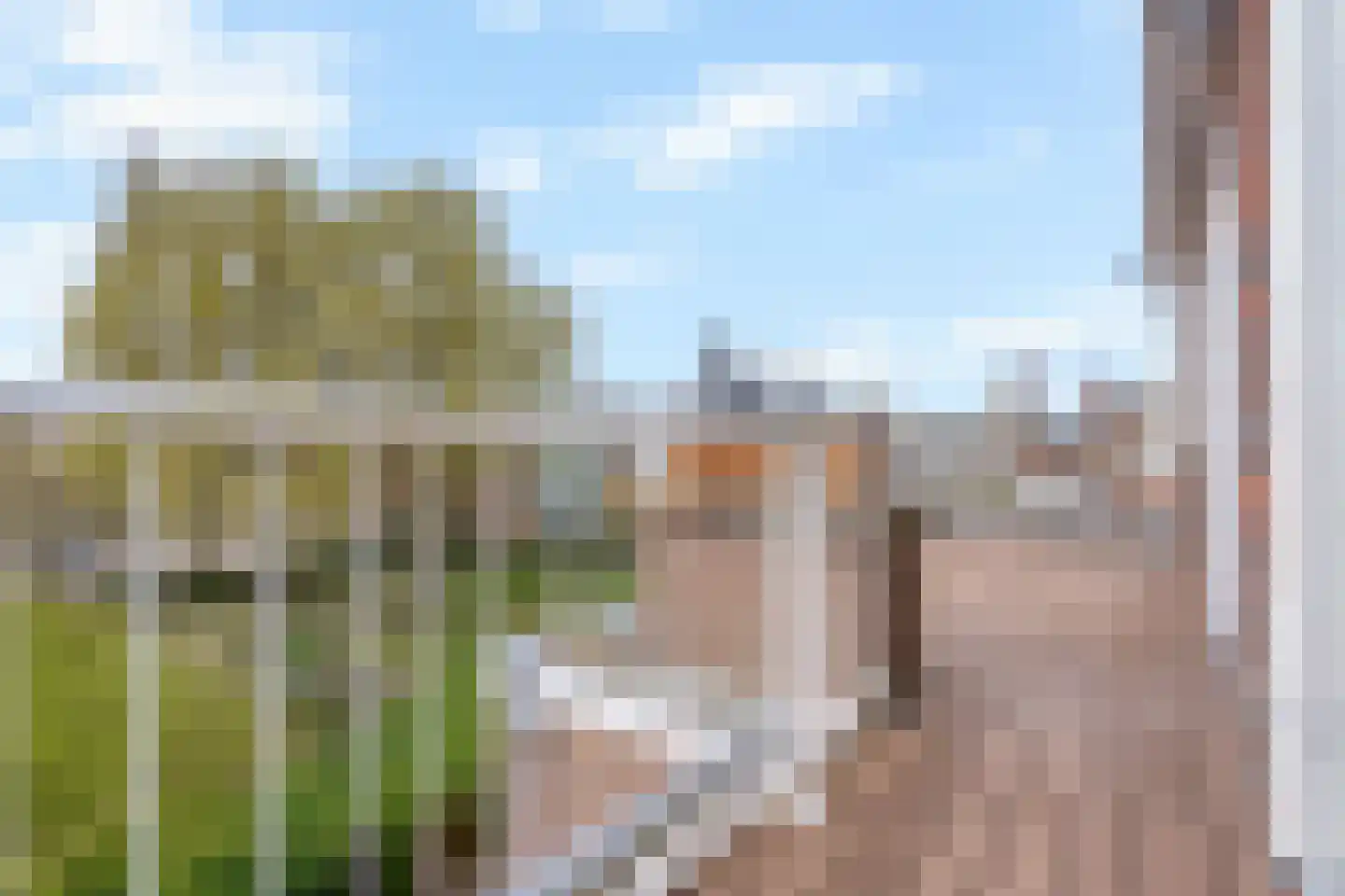 Irisstraat 121 Den Haag thumbnail 64