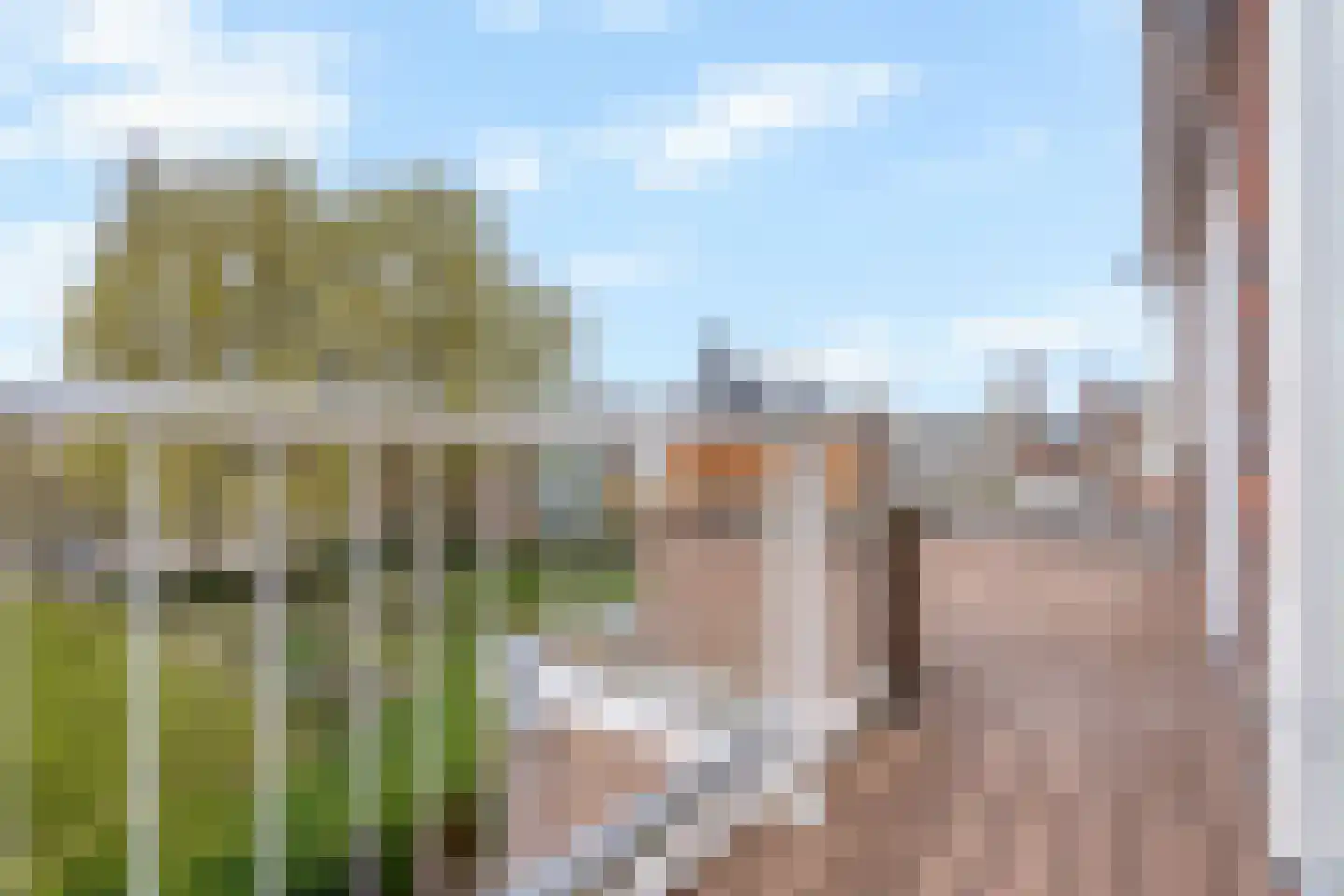 Irisstraat 121 Den Haag thumbnail 64