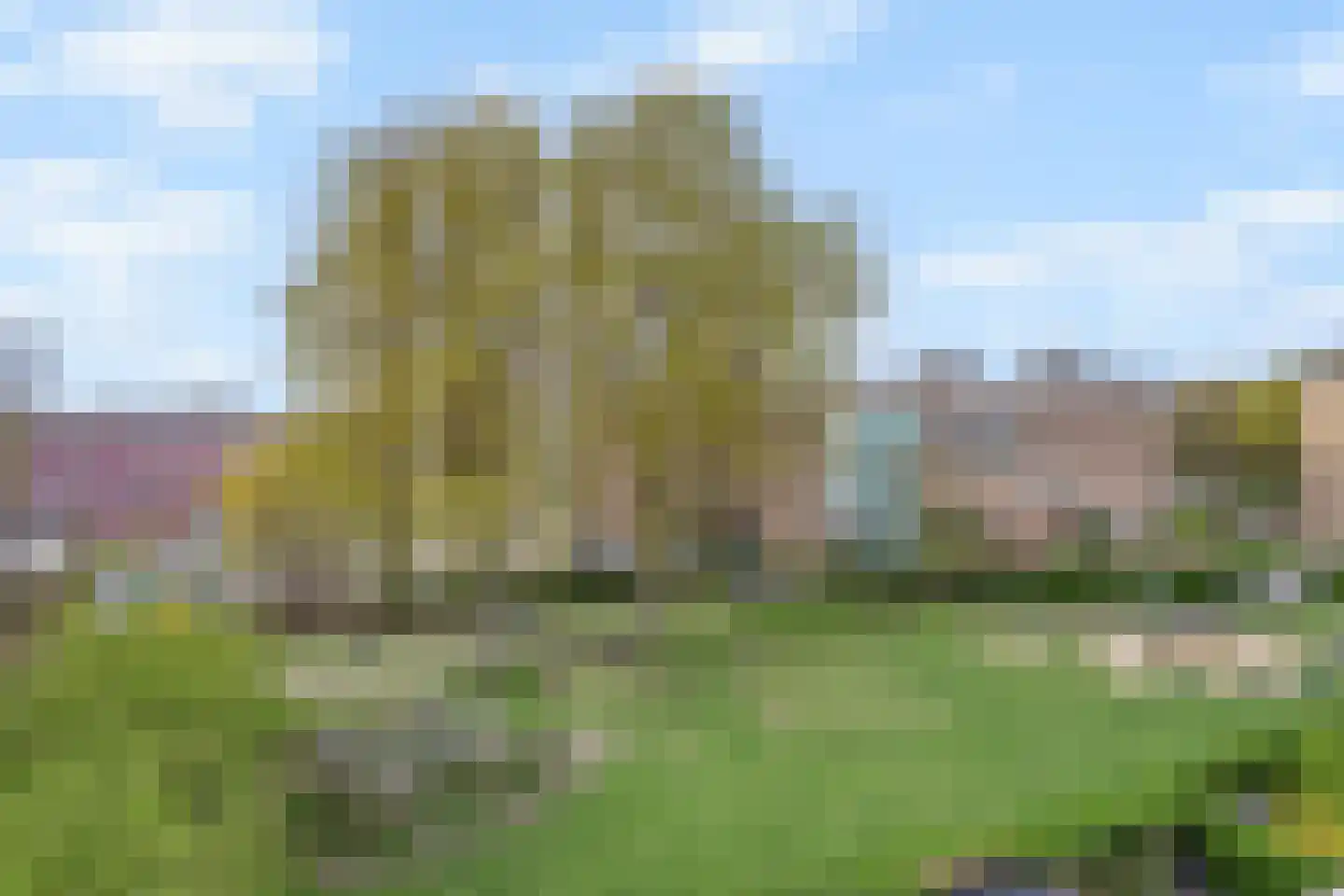 Irisstraat 121 Den Haag thumbnail 66