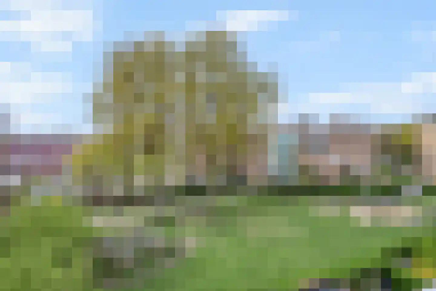 Irisstraat 121 Den Haag thumbnail 67
