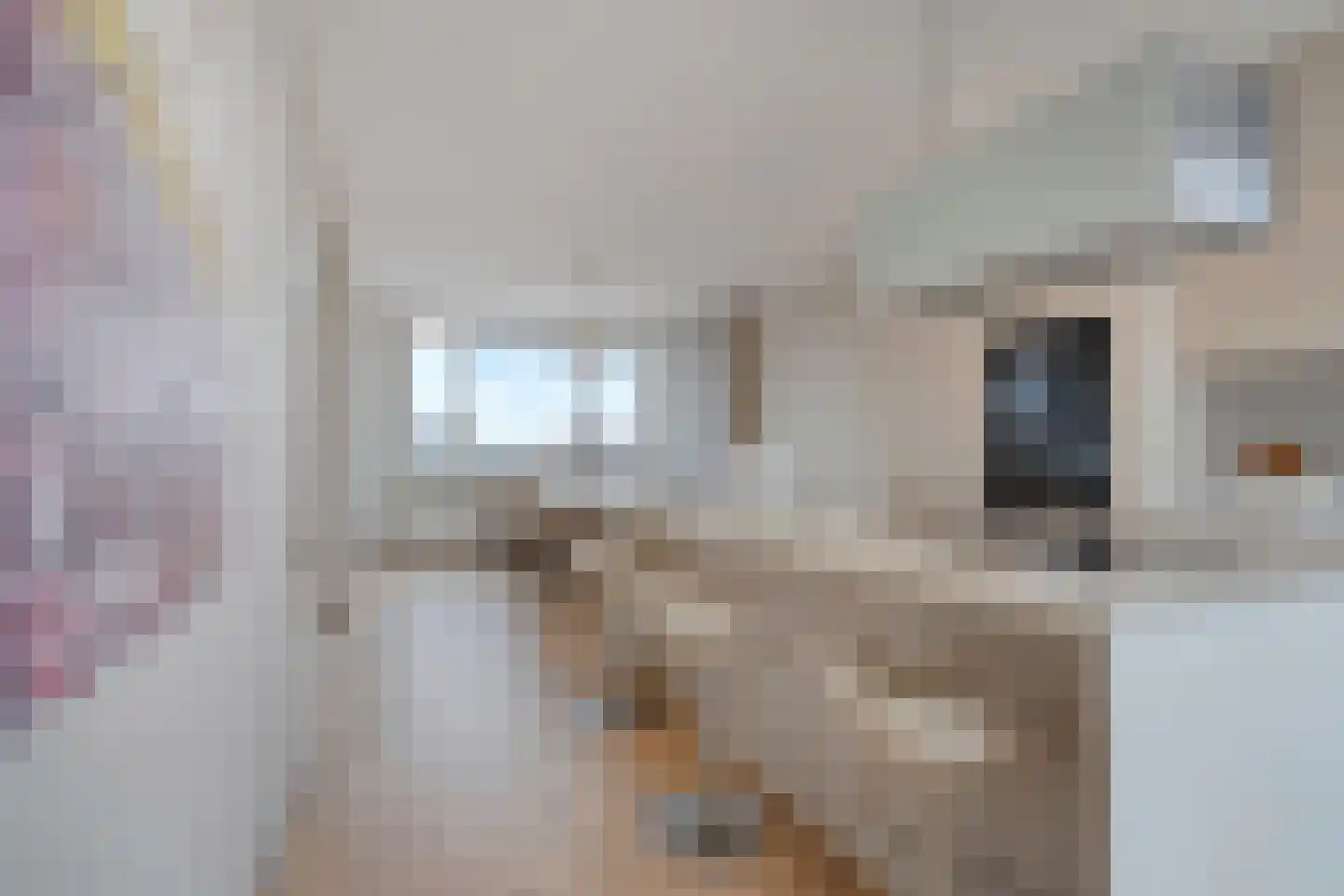 Irisstraat 121 Den Haag thumbnail 9