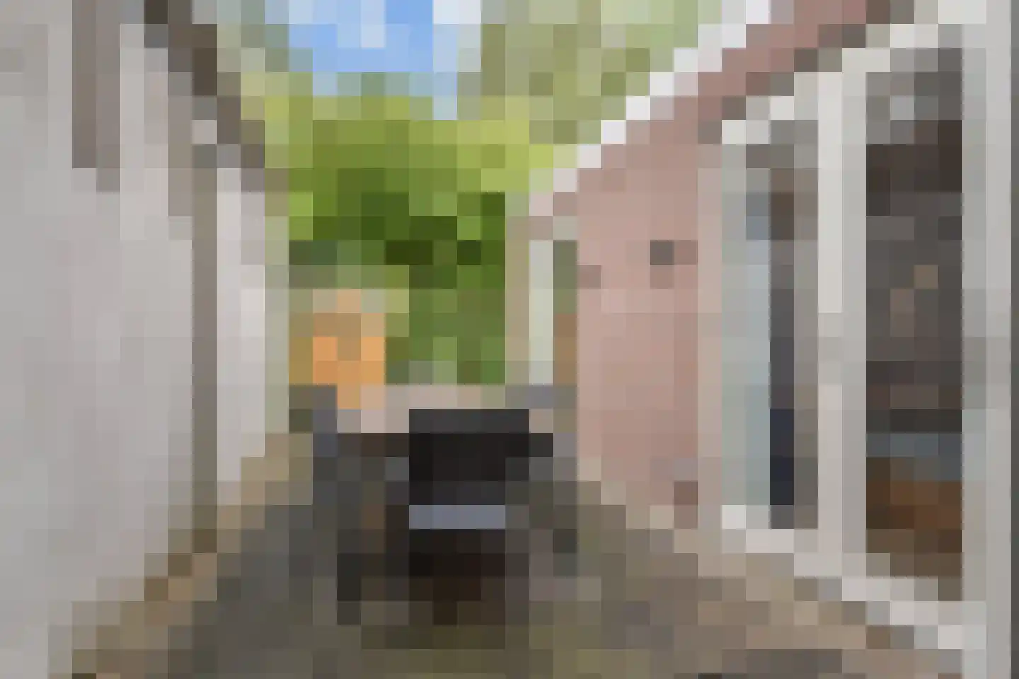 Irisstraat 125 Den Haag thumbnail 4