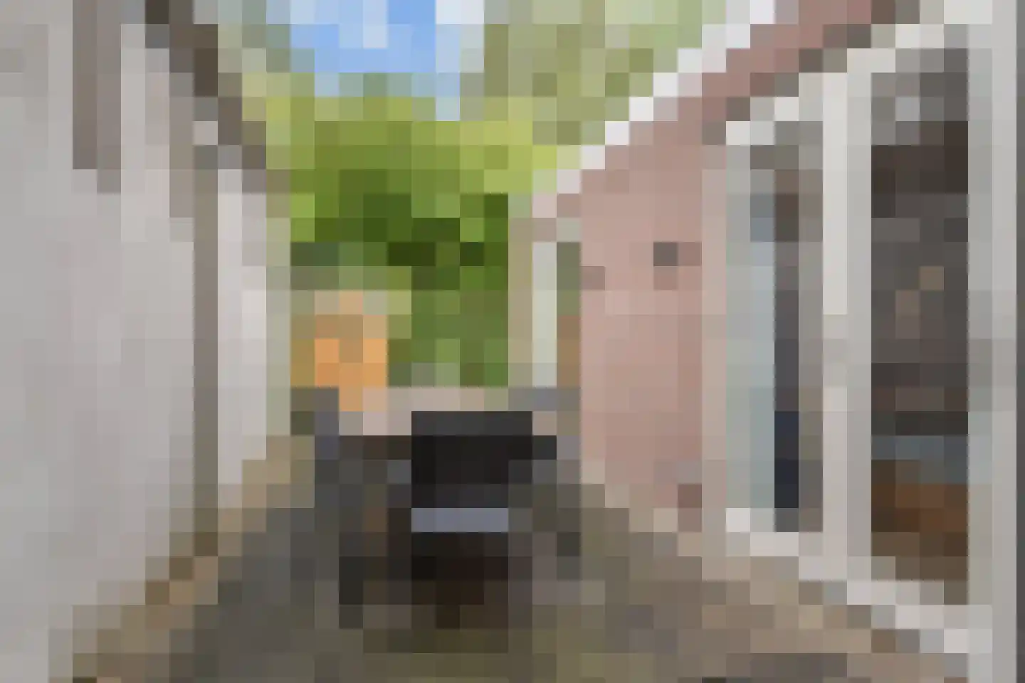 Irisstraat 125 Den Haag thumbnail 4