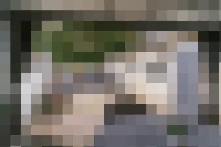 Irisstraat 13 Geleen thumbnail 30