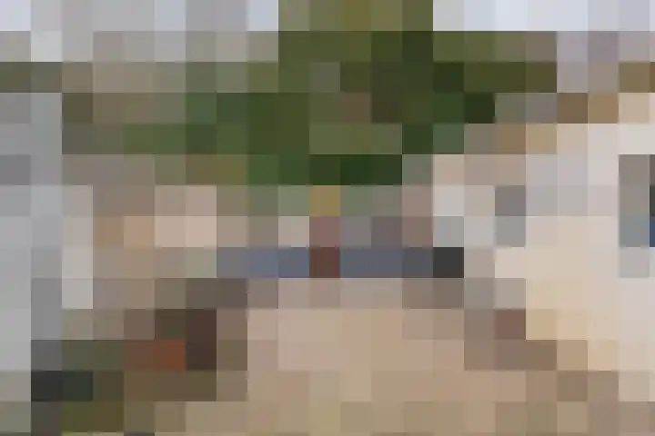 Irisstraat 13 Geleen thumbnail 31