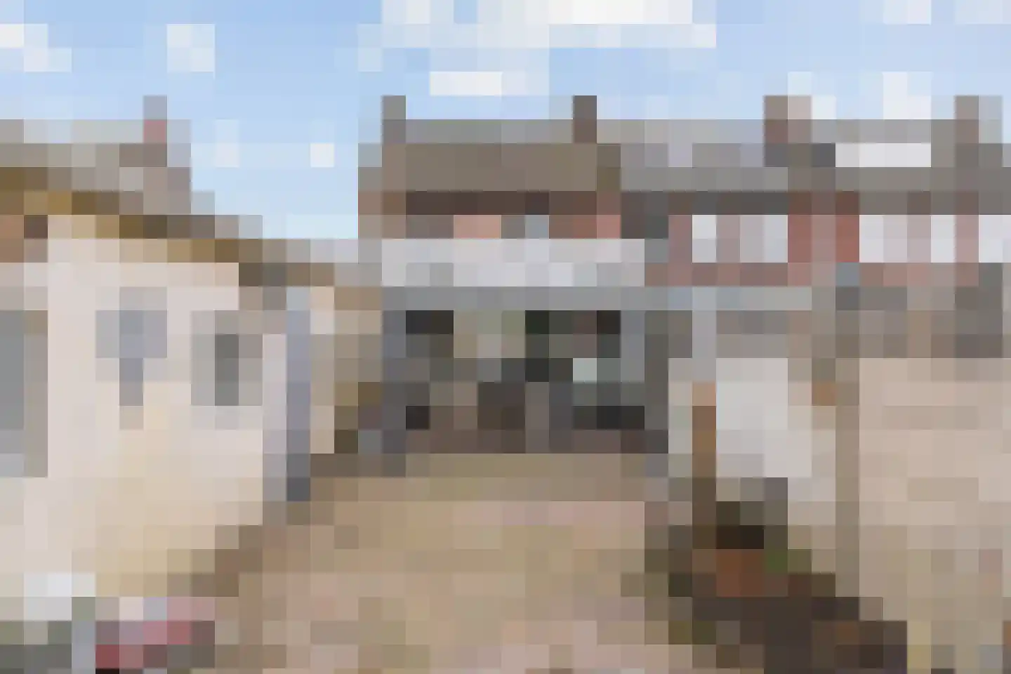 Irisstraat 13 Geleen thumbnail 33