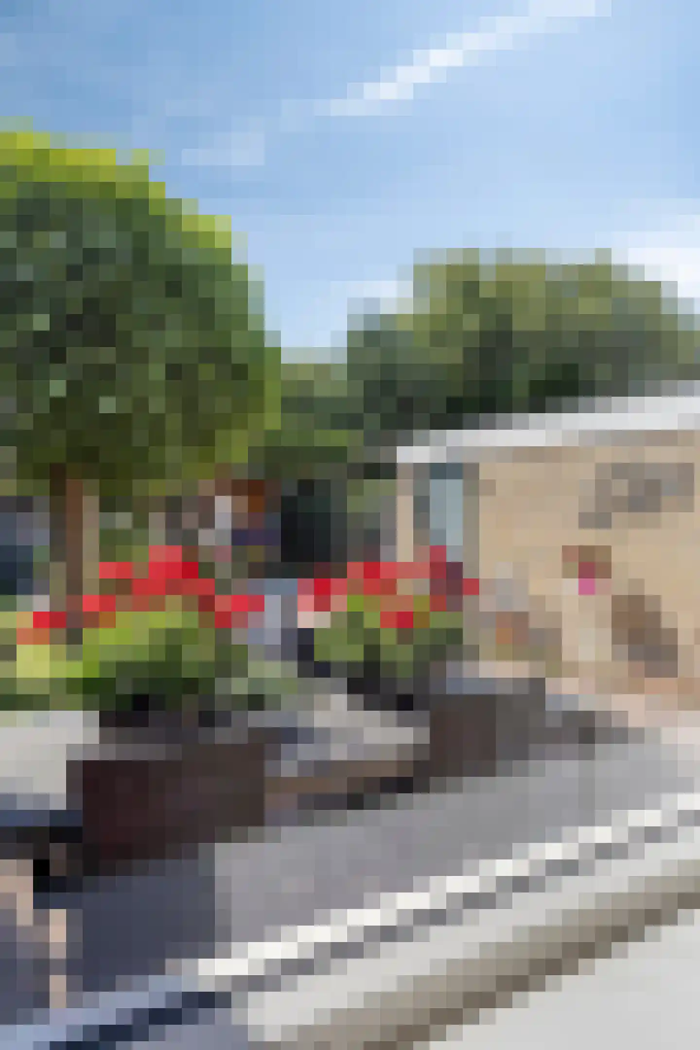 Irisstraat 13 Scheemda thumbnail 24