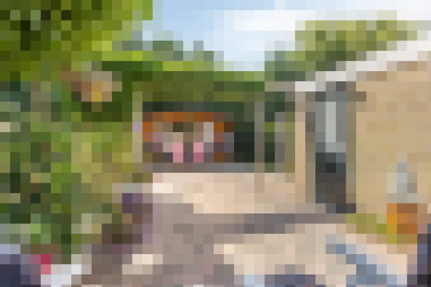 Irisstraat 13 Scheemda thumbnail 37