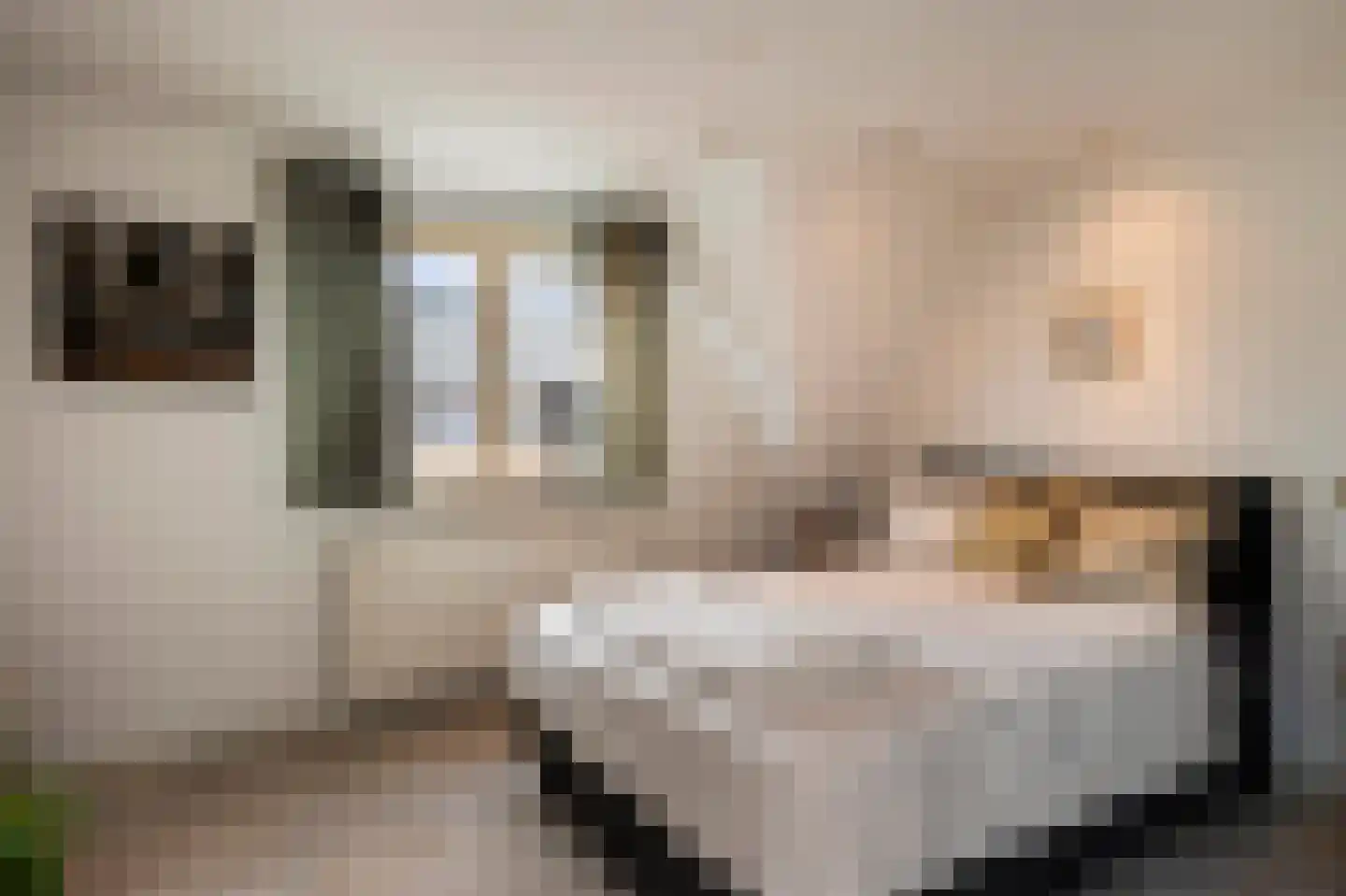 Irisstraat 14 Sittard thumbnail 19