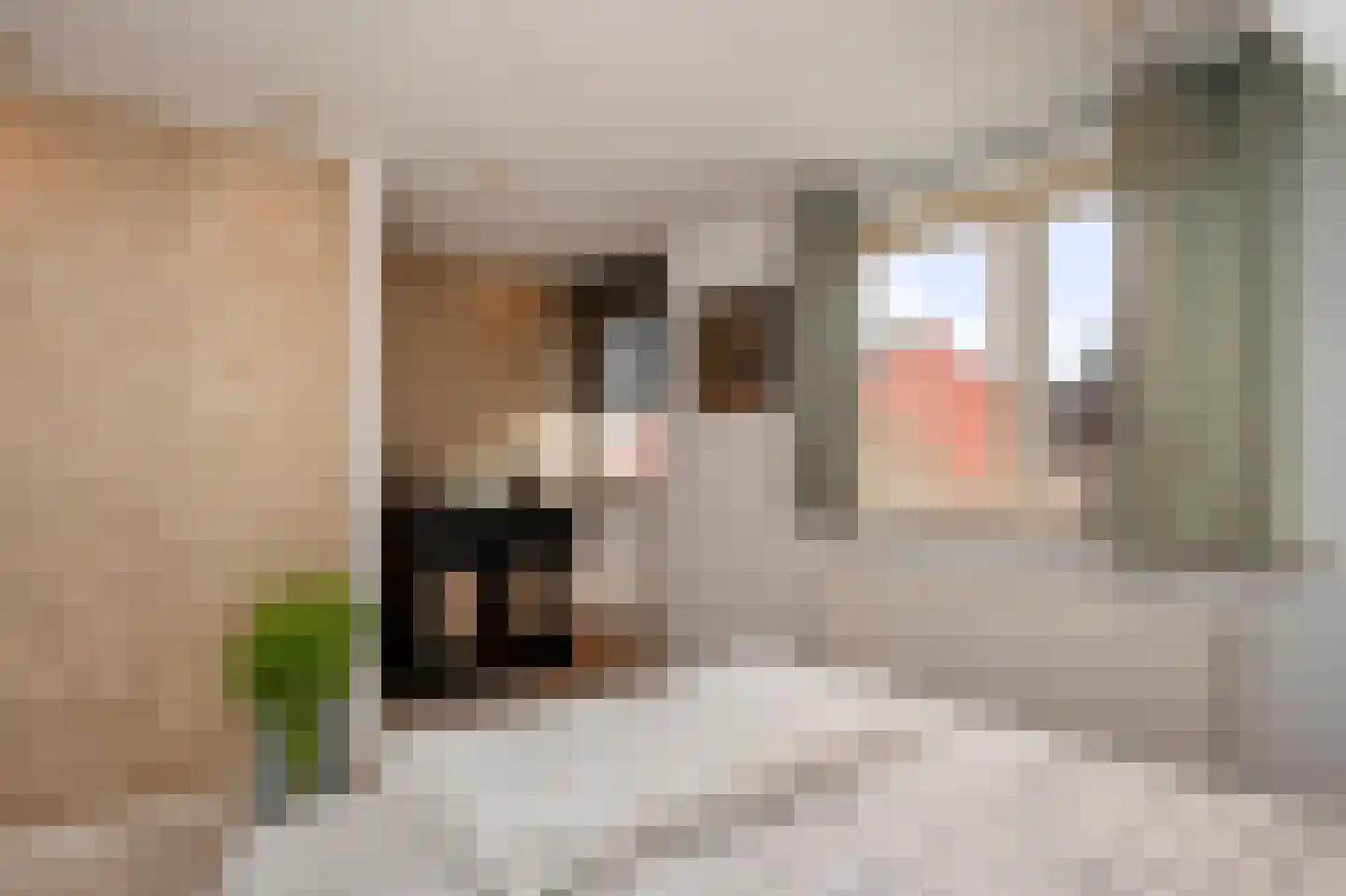 Irisstraat 14 Sittard thumbnail 20