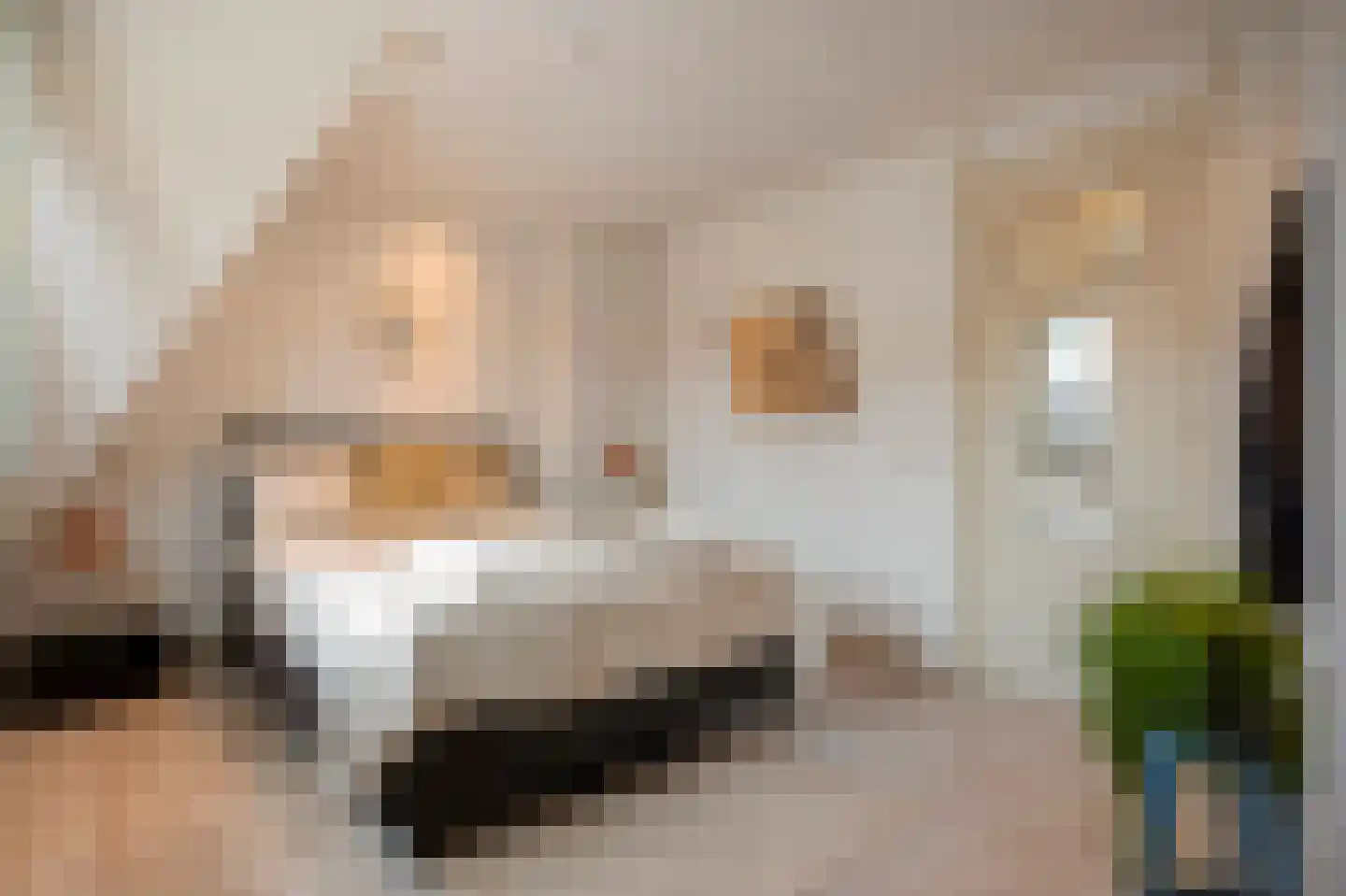 Irisstraat 14 Sittard thumbnail 21