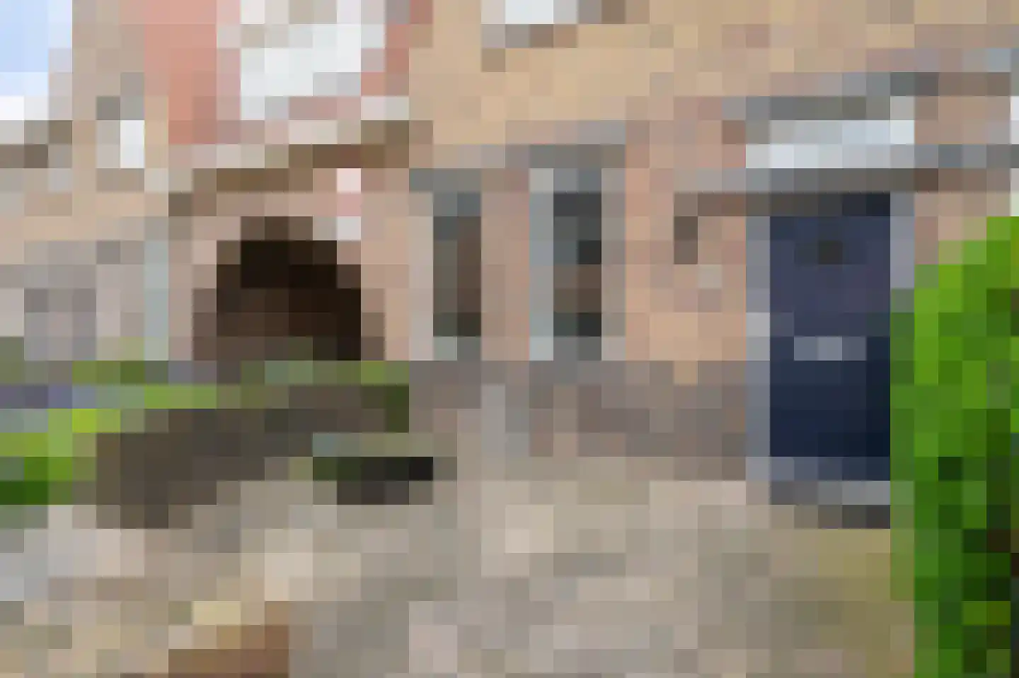 Irisstraat 14 Sittard thumbnail 4