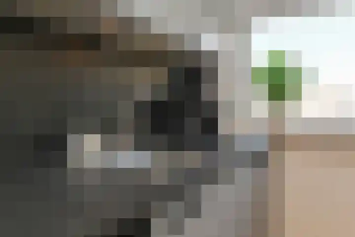 Irisstraat 149 Den Haag thumbnail 22