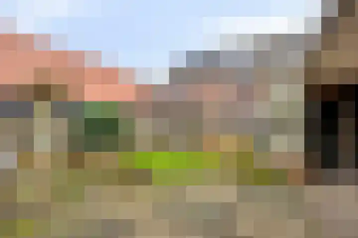 Irisstraat 15 Goor thumbnail 26