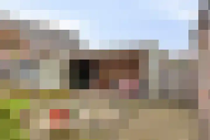 Irisstraat 15 Goor thumbnail 27