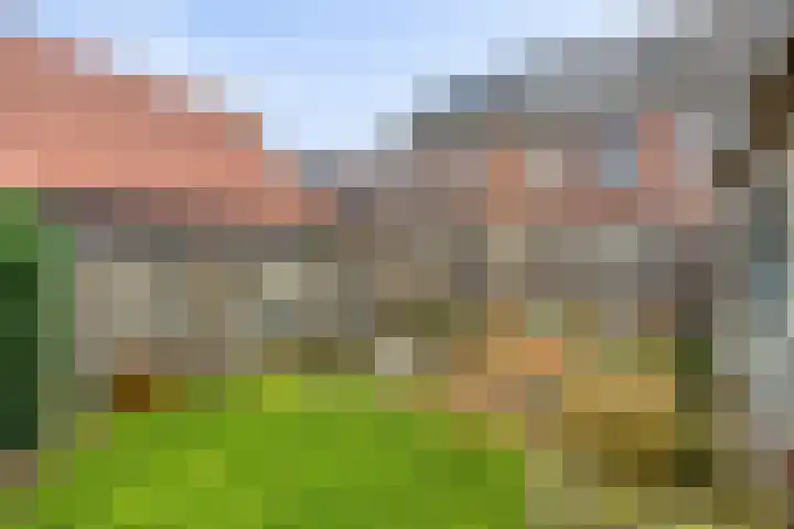 Irisstraat 15 Goor thumbnail 30