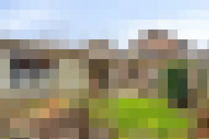 Irisstraat 15 Goor thumbnail 31