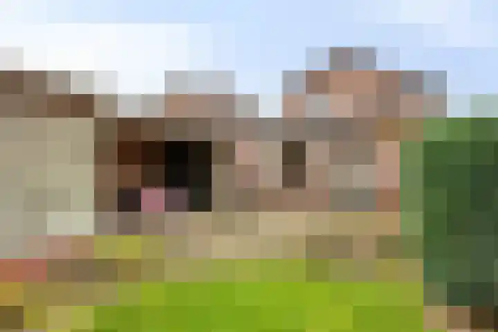 Irisstraat 15 Goor thumbnail 32