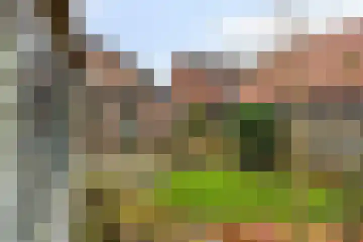 Irisstraat 15 Goor thumbnail 33