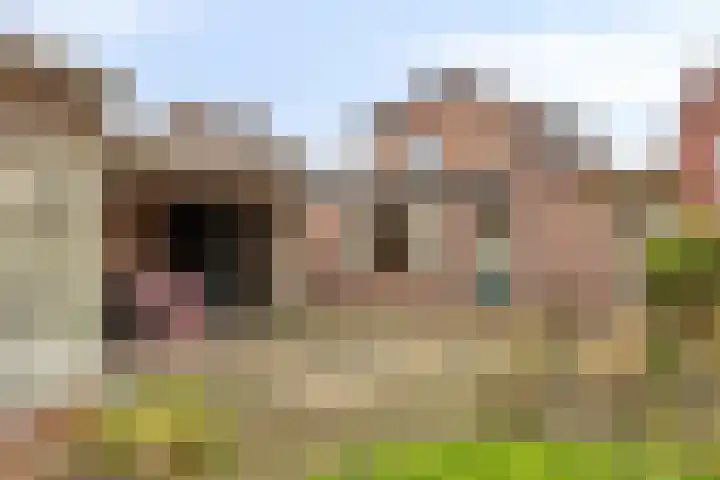 Irisstraat 15 Goor thumbnail 34