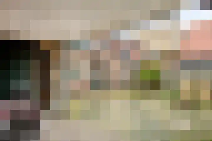Irisstraat 15 Goor thumbnail 35