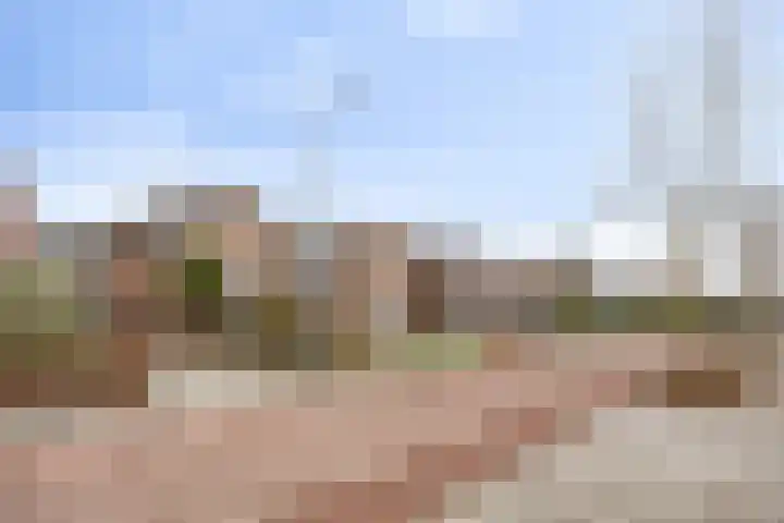 Irisstraat 15 Goor thumbnail 38