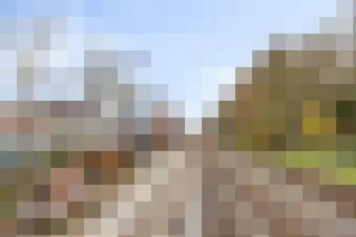 Irisstraat 15 Goor thumbnail 40