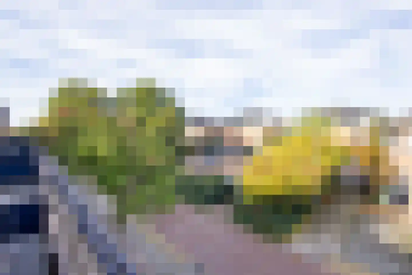 Irisstraat 15 Haarlem thumbnail 36