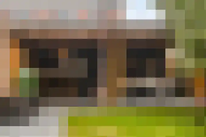 Irisstraat 17 Goor thumbnail 26