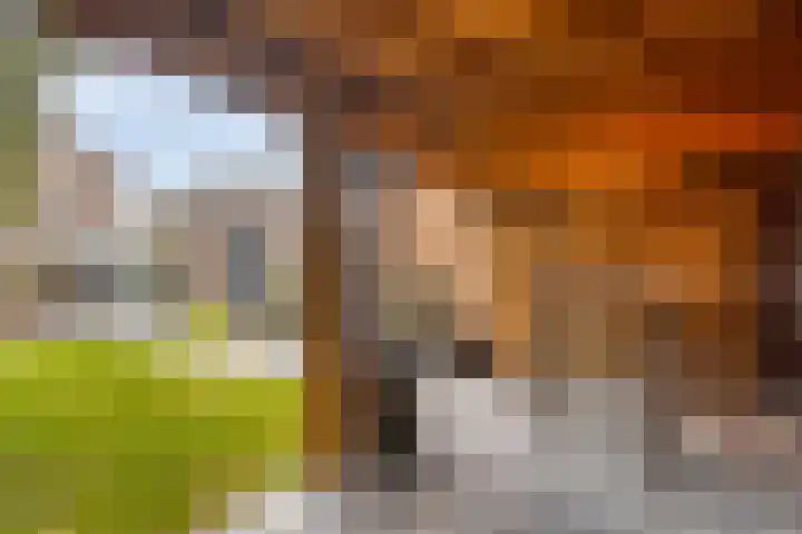 Irisstraat 17 Goor thumbnail 27