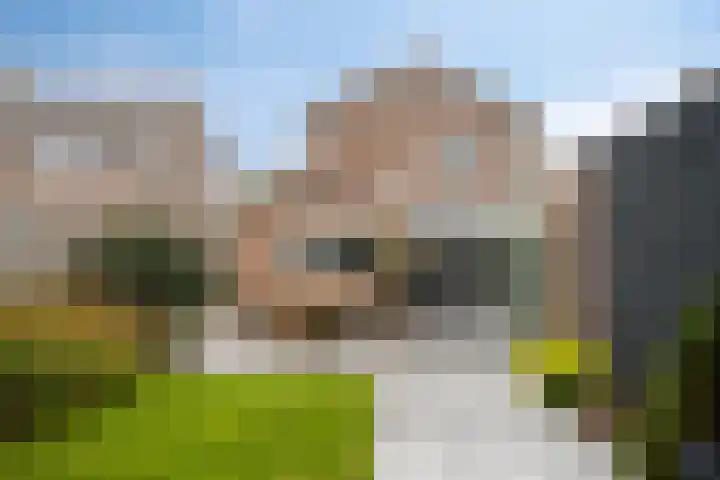Irisstraat 17 Goor thumbnail 28