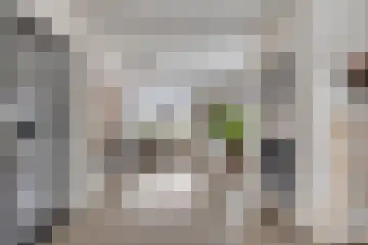 Irisstraat 17 Goor thumbnail 4