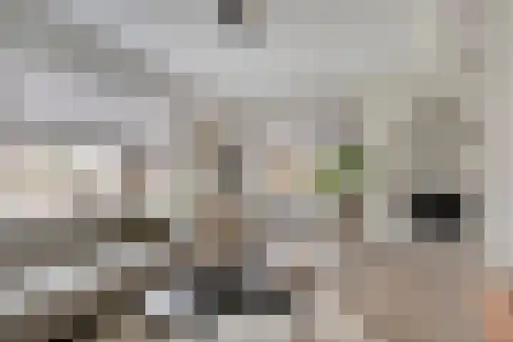 Irisstraat 17 Goor thumbnail 6