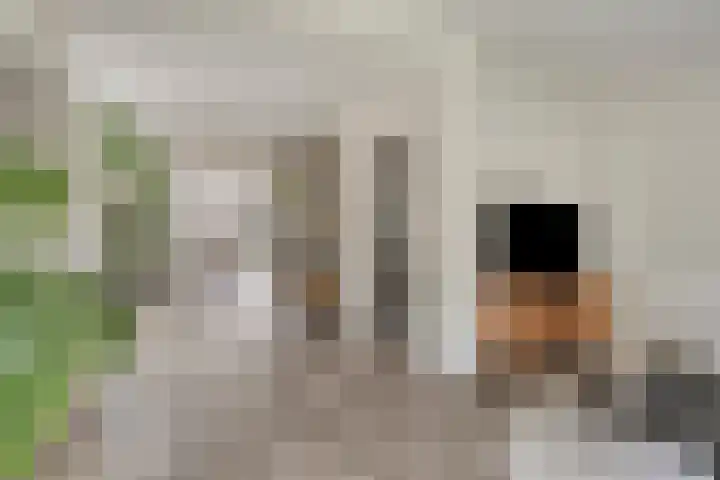 Irisstraat 17 Goor thumbnail 7