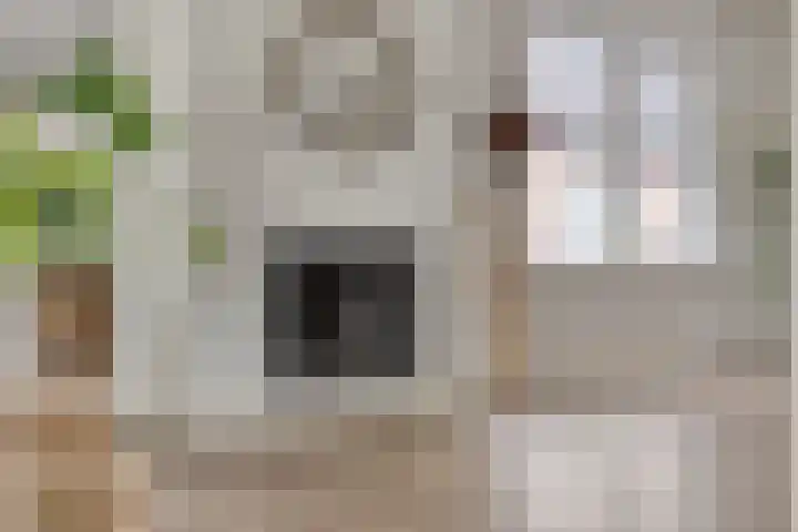 Irisstraat 17 Goor thumbnail 8