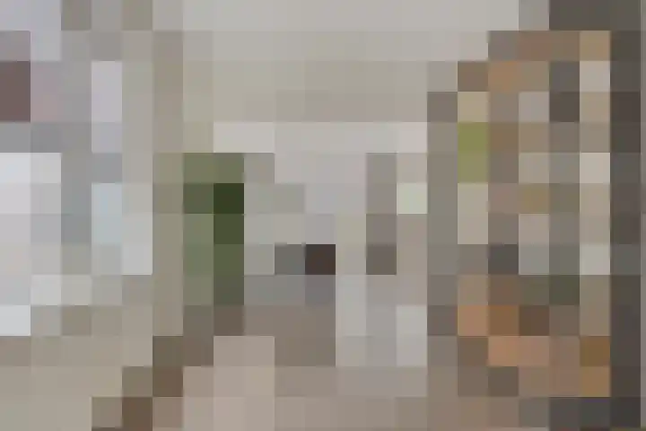 Irisstraat 17 Goor thumbnail 9
